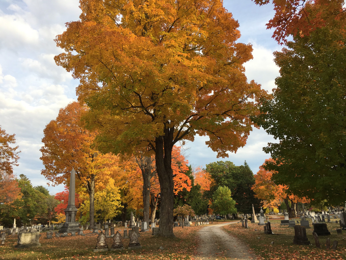 Autumn colors in a graveyard.