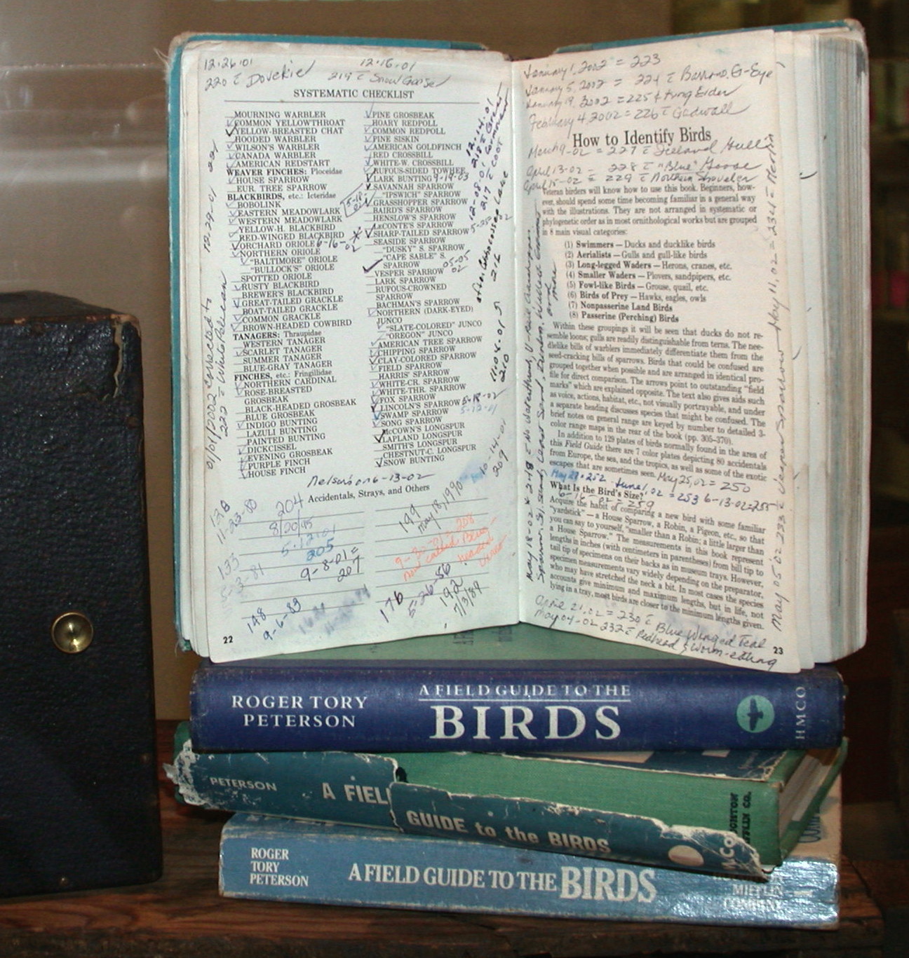Open bird book showing handwritten entries for life list