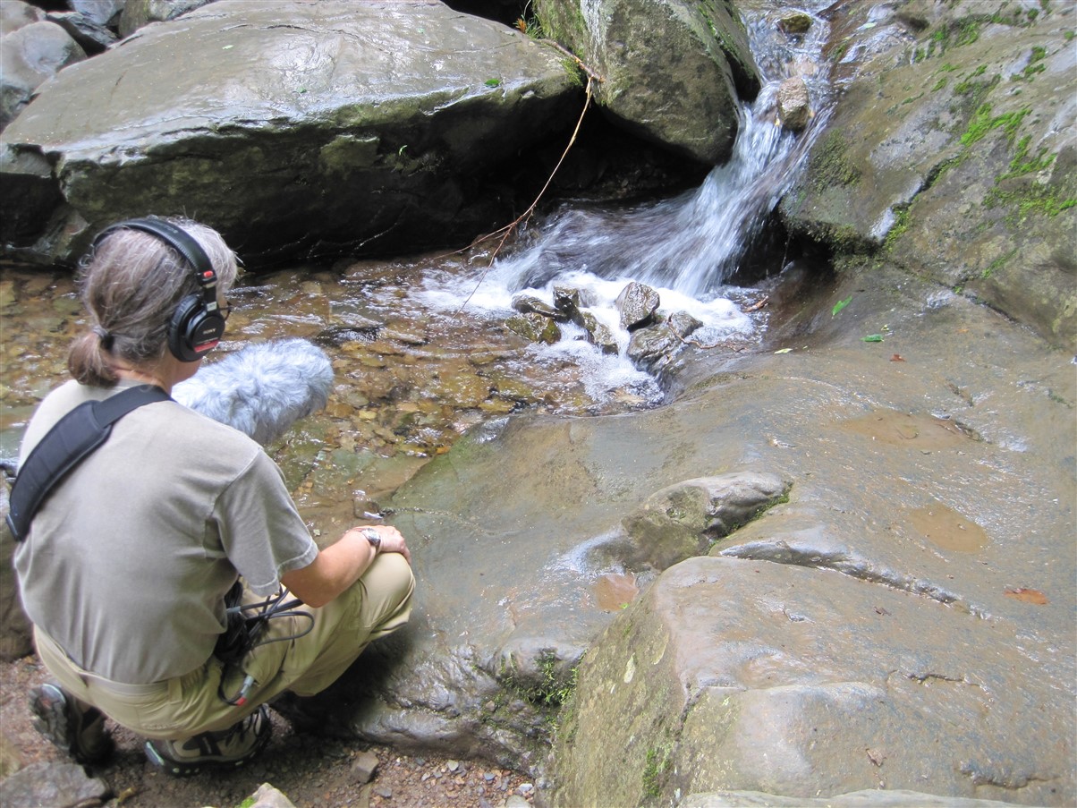 Dianne recording a running stream at Dark Hollow Falls