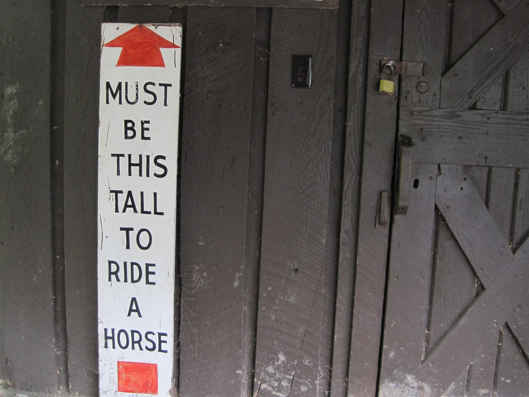 A sign says must be this tall to ride a horse